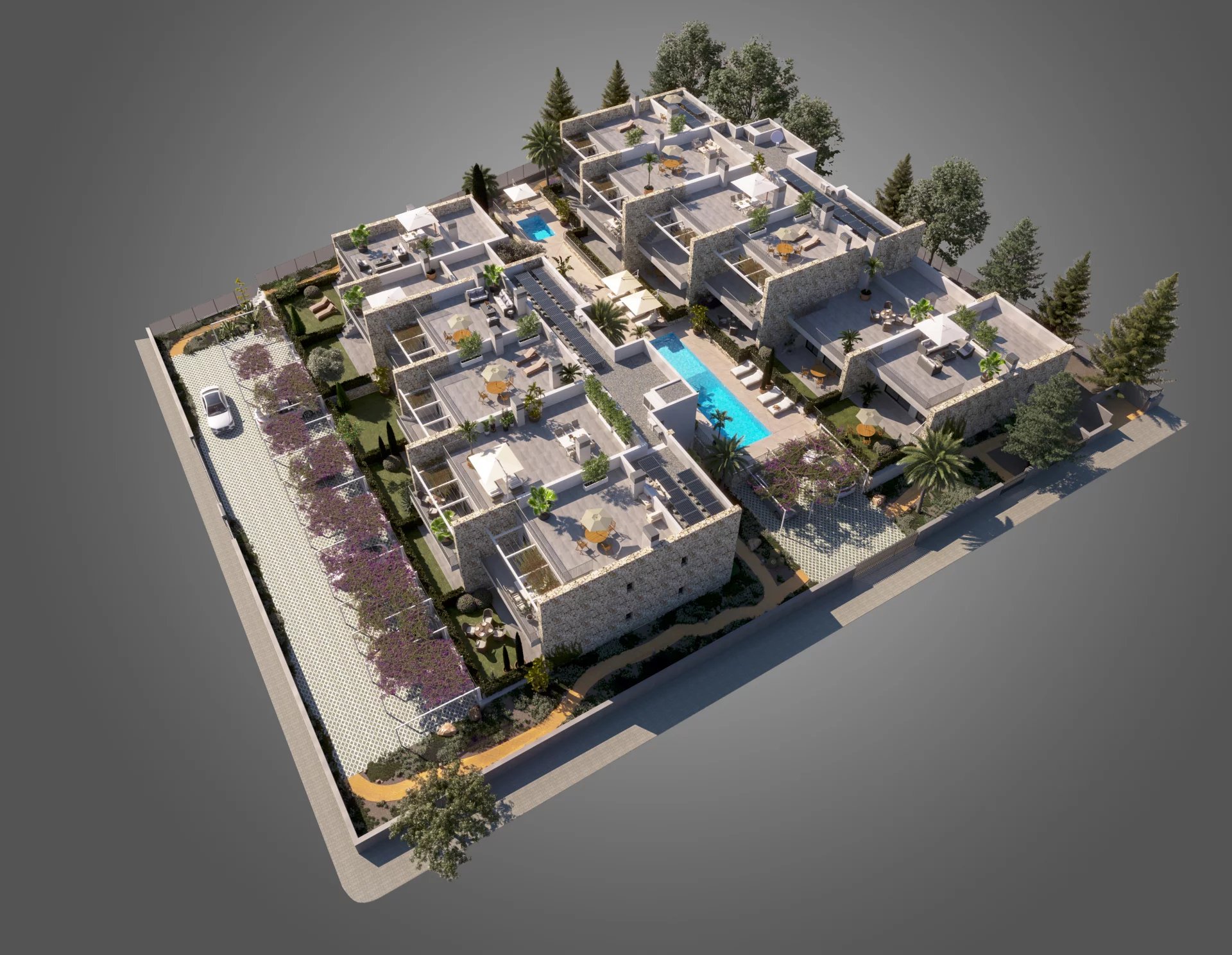 Development Apartment Sant Elm