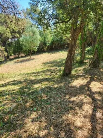 Vente Terrain constructible Cogolin