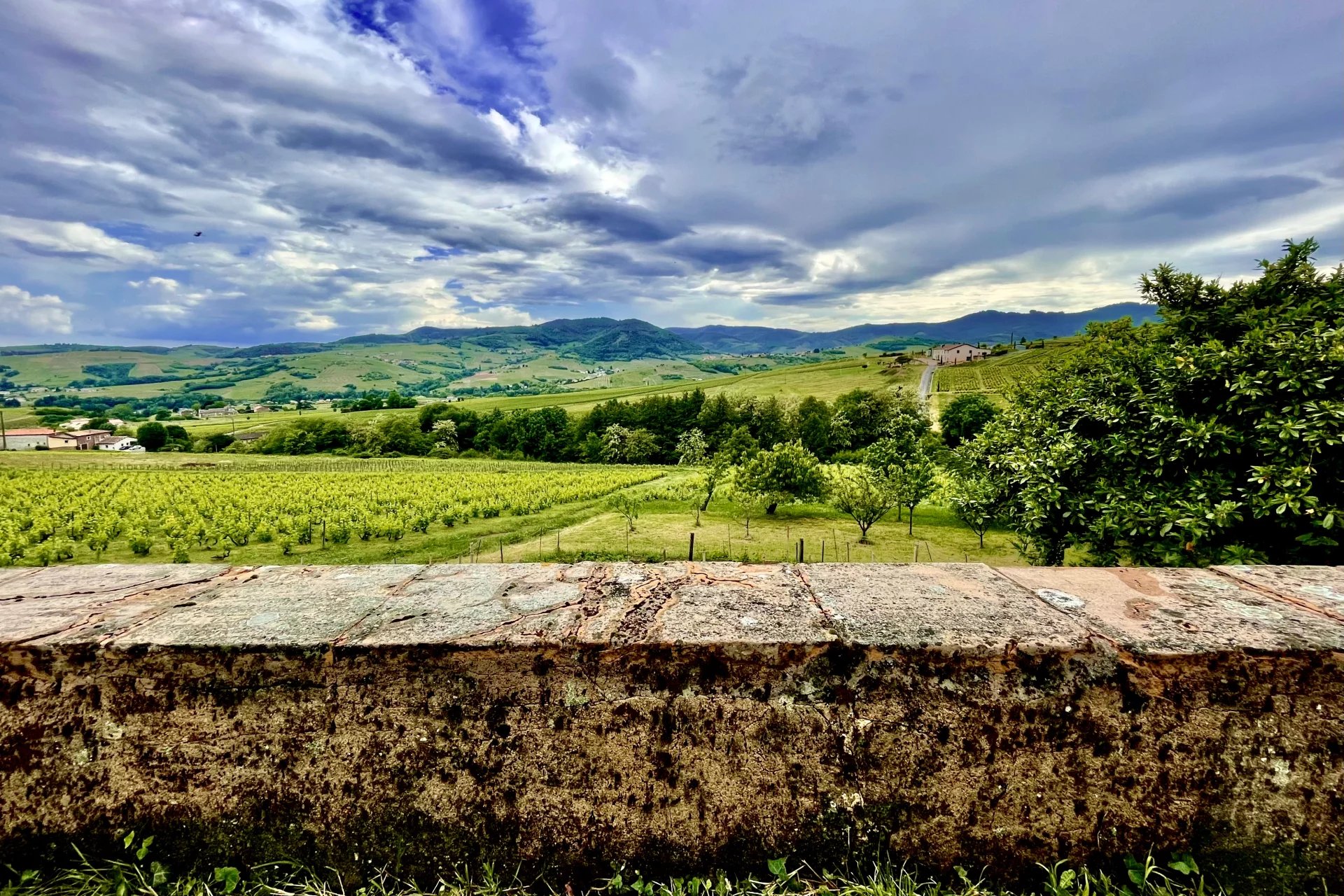 Sale Vineyard property Odenas