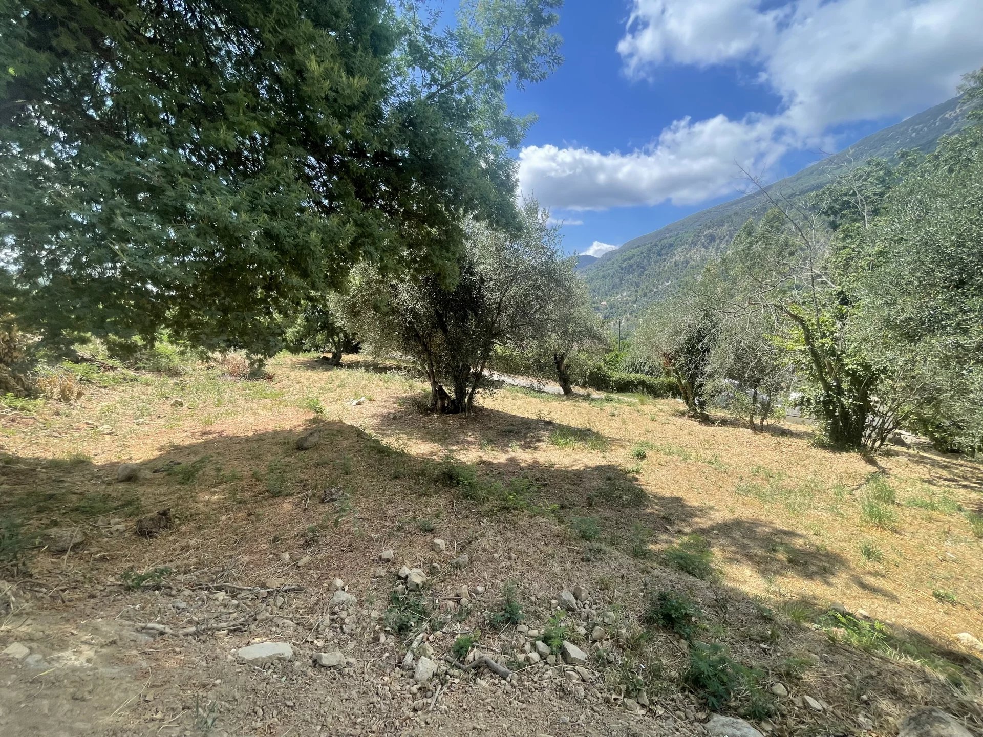 COARAZE - Photo 2