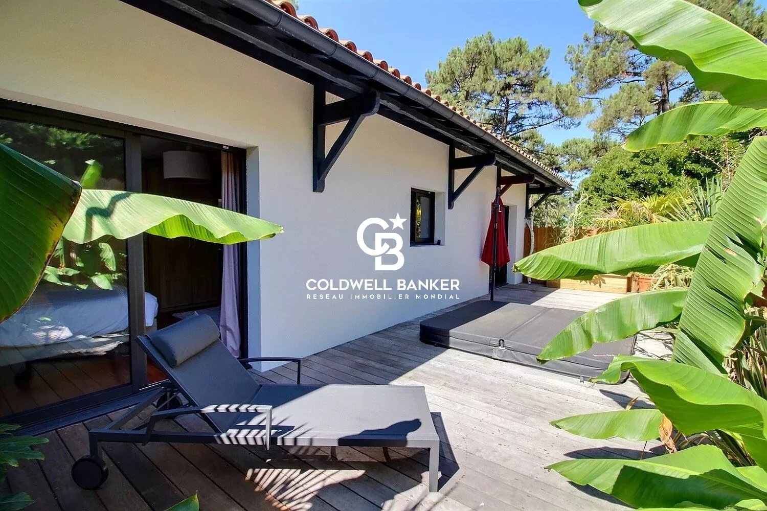 Agence immobilière de Silver Coast Int. Realty