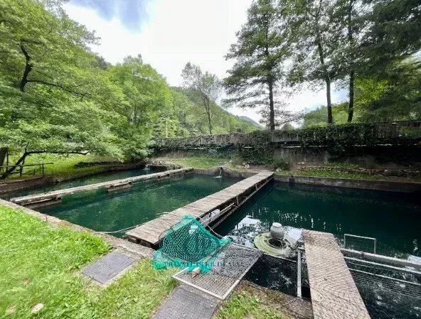 Malikane Valganna - picture 21