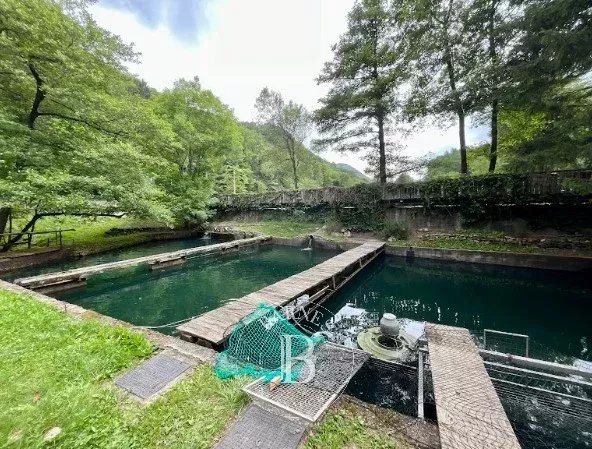 Malikane Valganna - picture 21