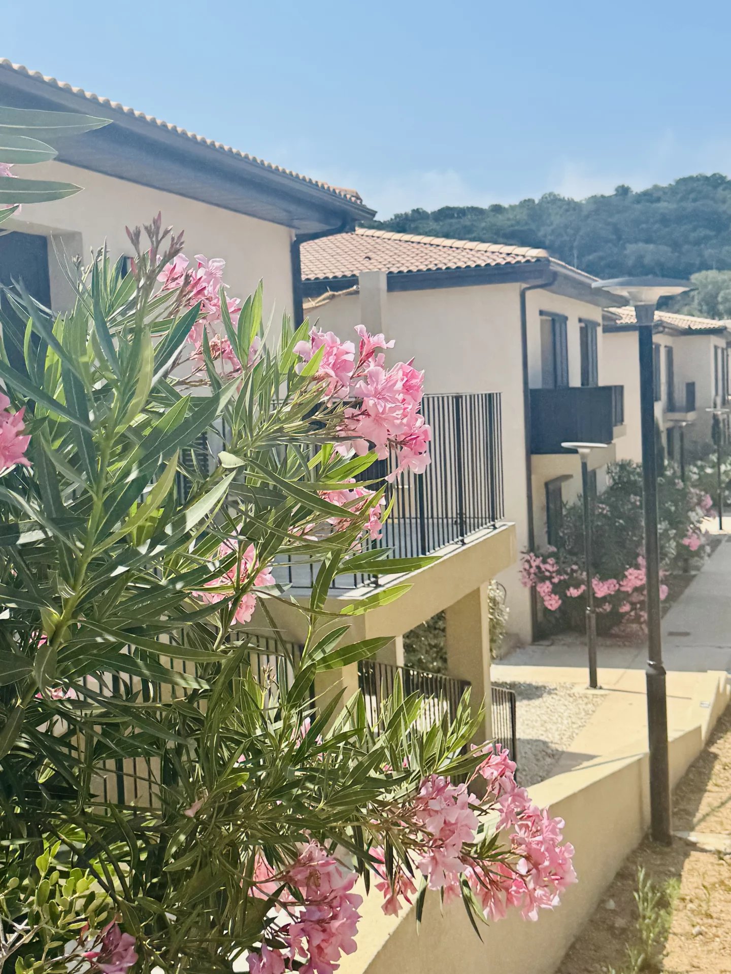 Agence immobilière de ALL IN ONE AGENCY