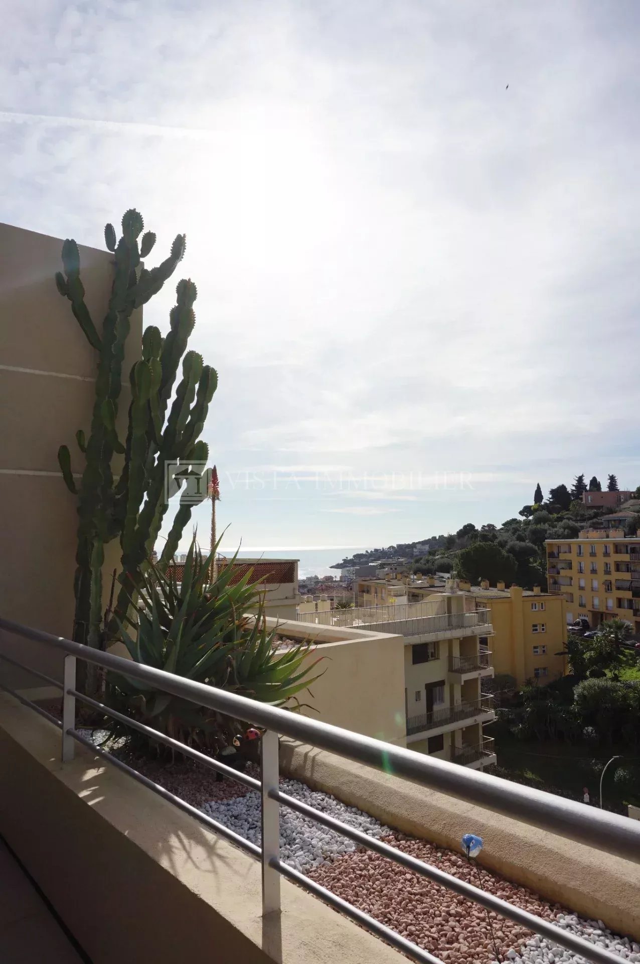 LUXUEUX APPARTEMENT ROQUEBRUNE HAMEAU