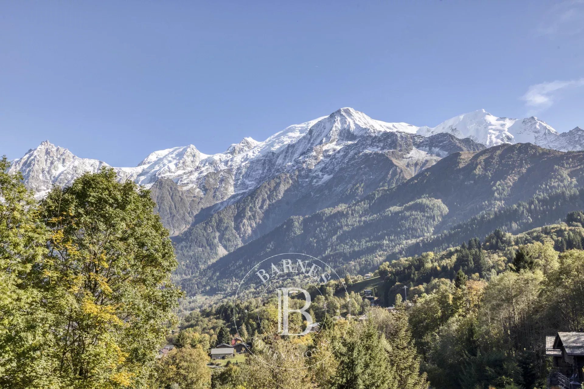 Chalet Les Houches  -  ref 86373632 (picture 1)