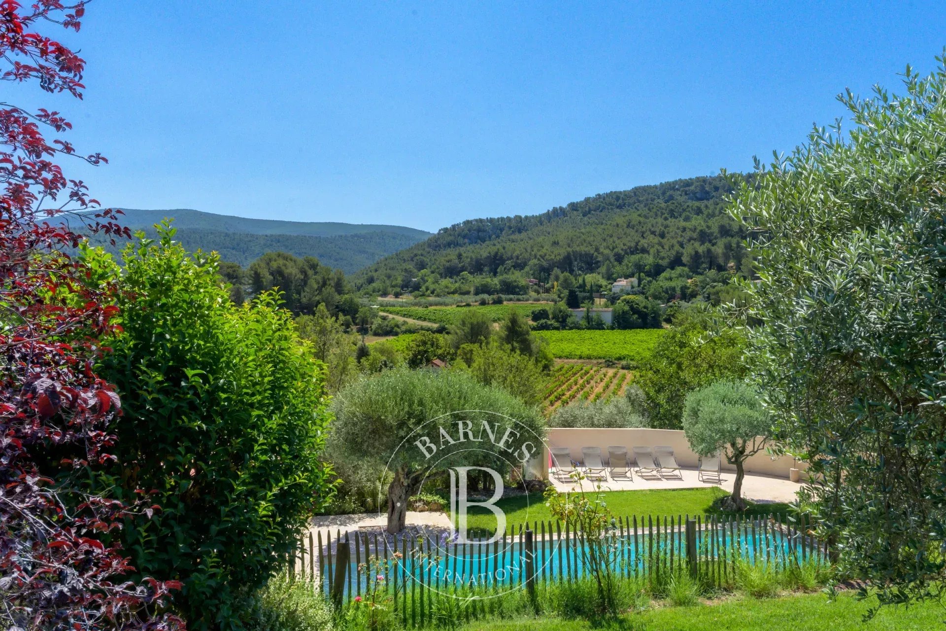 Kirevi Auriol - picture 5