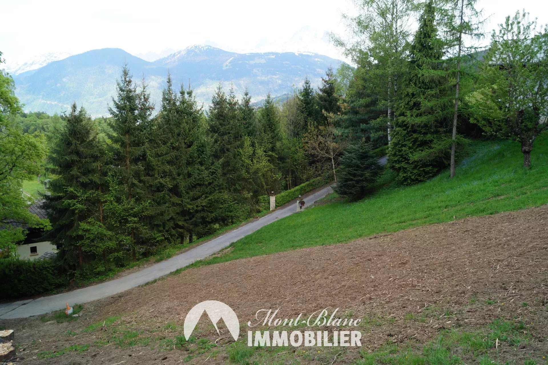 Vente Terrain constructible Domancy