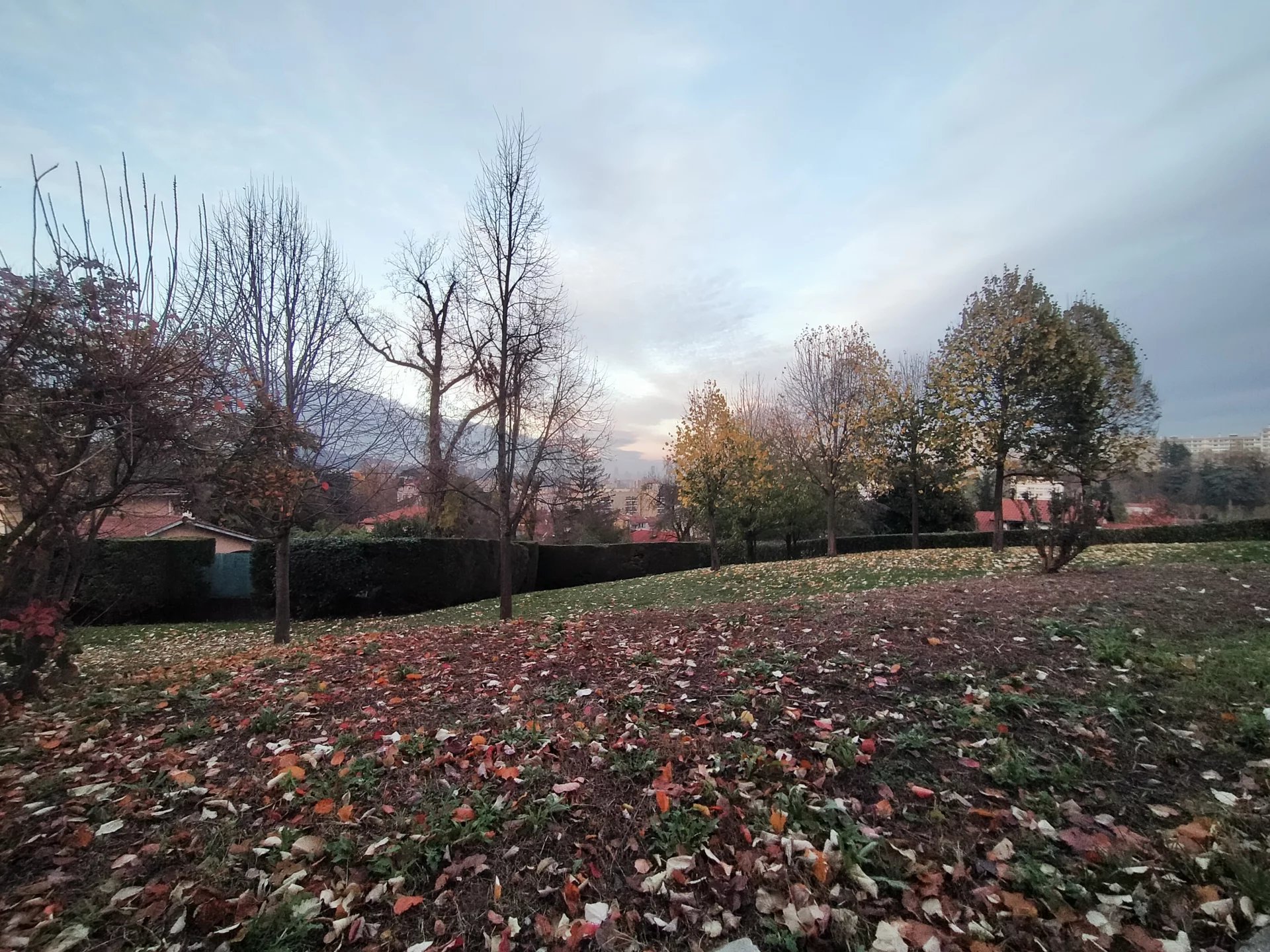 511802 Location Oullins