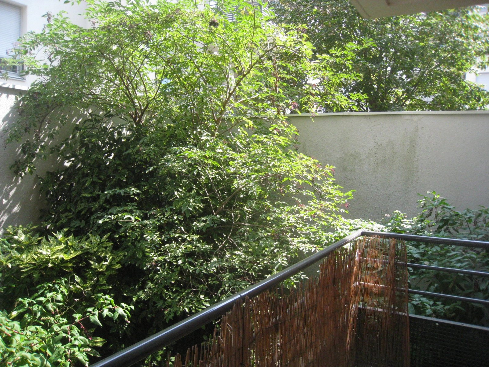 525145 Location Villeurbanne
