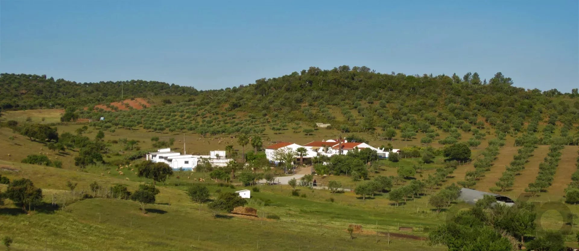 Herdade Cativante in Alentejo: A Tourist Investment with Immeasurable Potential 🌿✨ 86362095 image 83