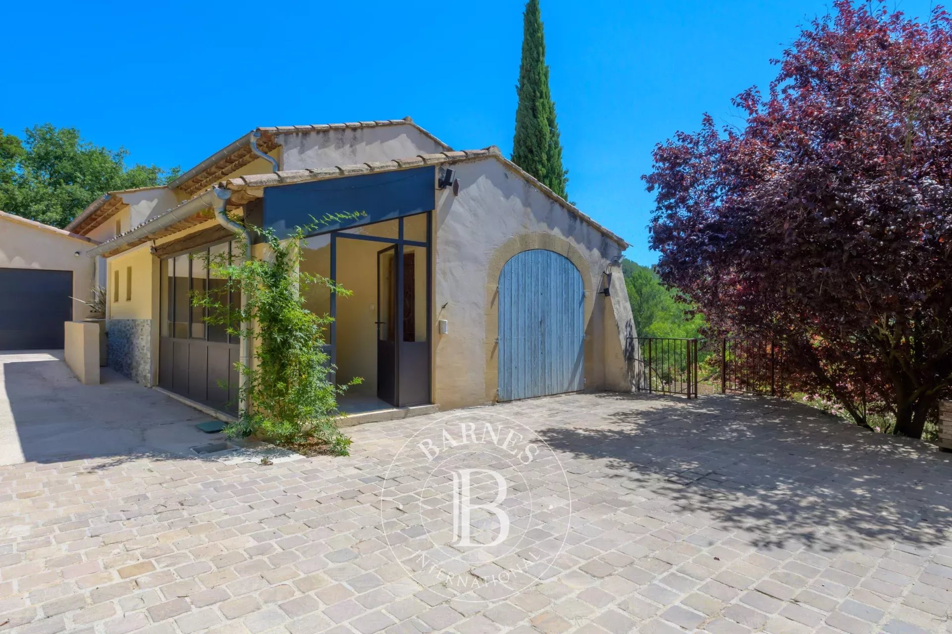 Kirevi Auriol - picture 26