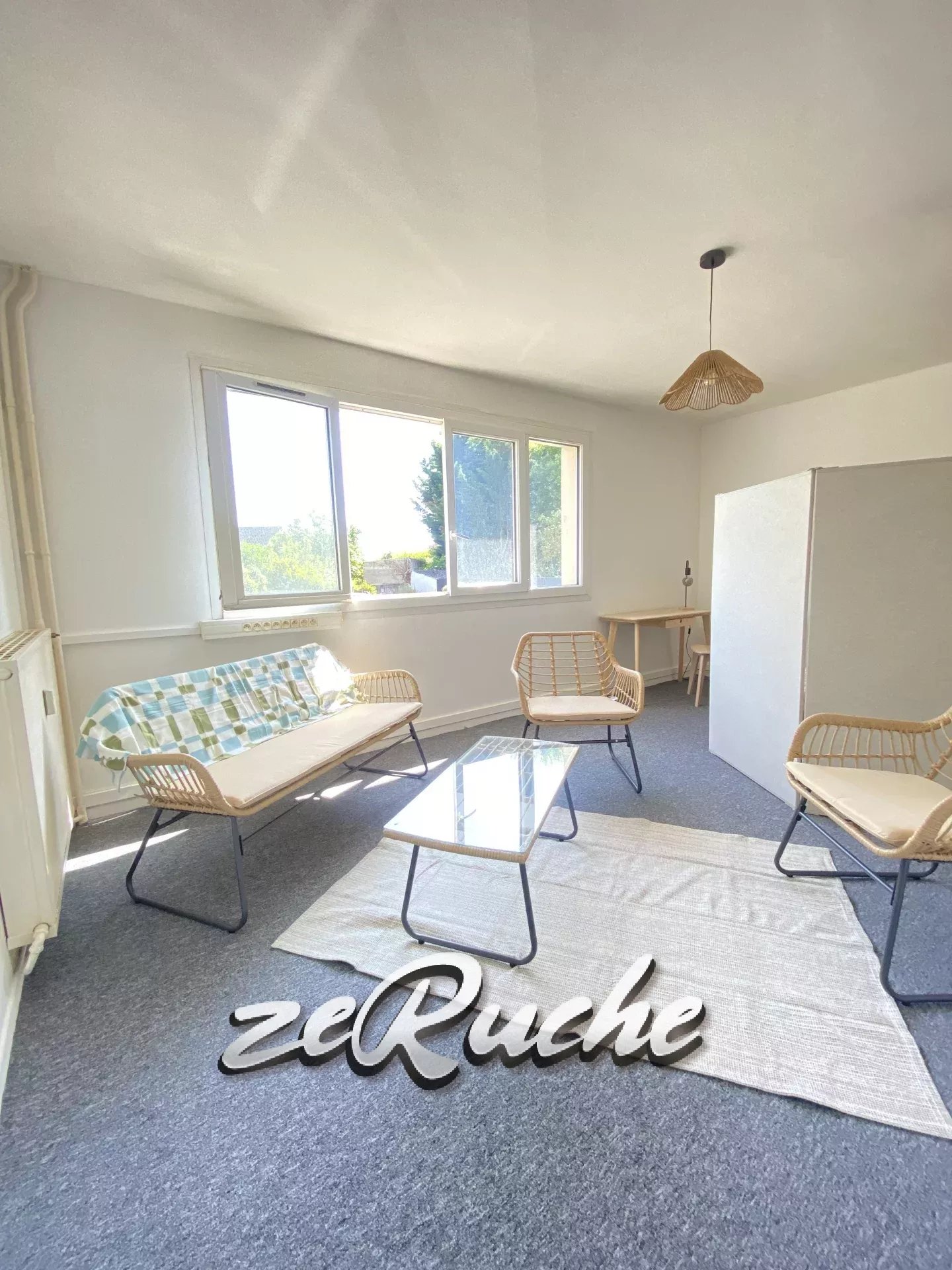 Agence immobilière de ZERUCHE