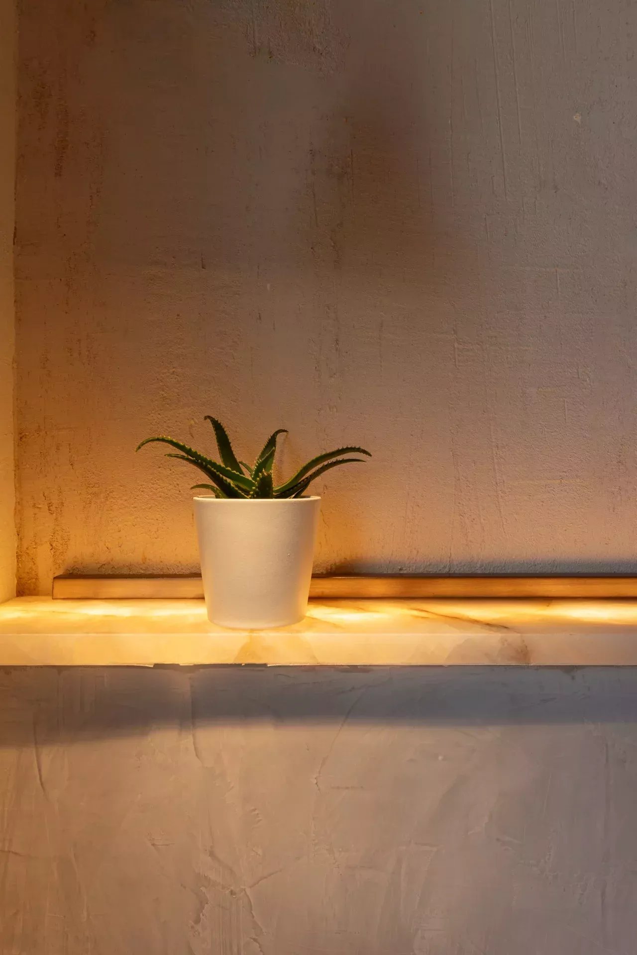 Stüdyo Madrid - picture 15