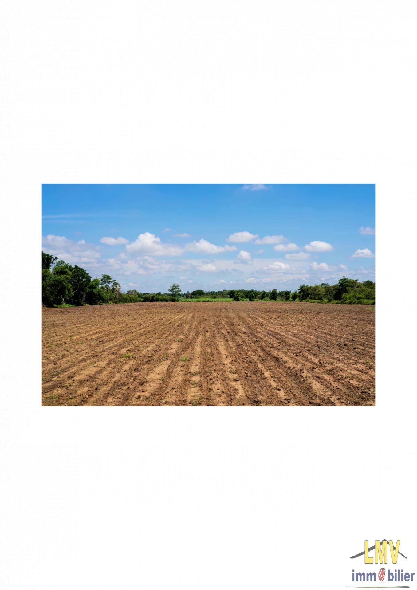 TERRESS AGRICOLES CULTIVABLES