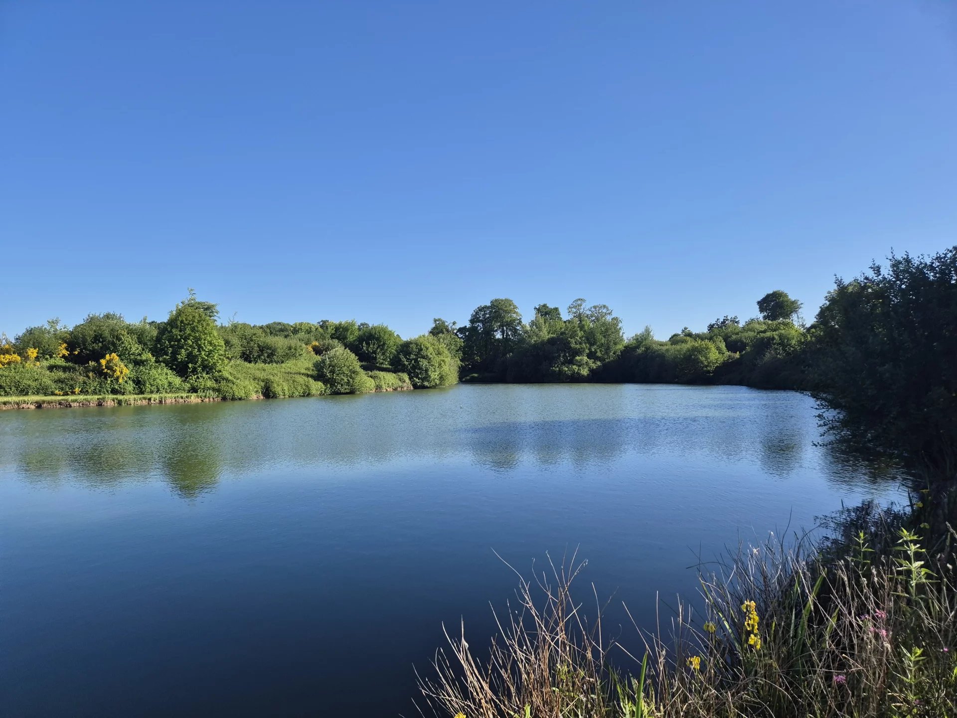 Vente Lac La Pellerine