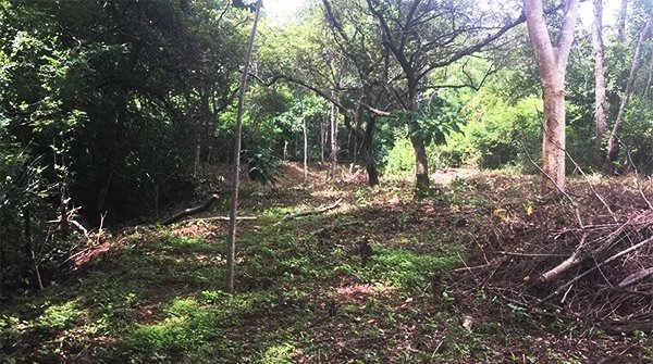 813 m2 lot less than 5 minutes from Playa Tamarindo.