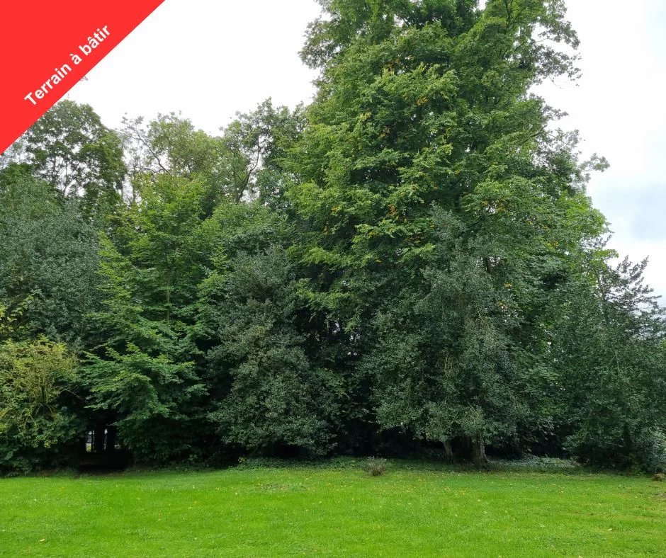 Vente Terrain Saint-Nicolas-de-la-Taille