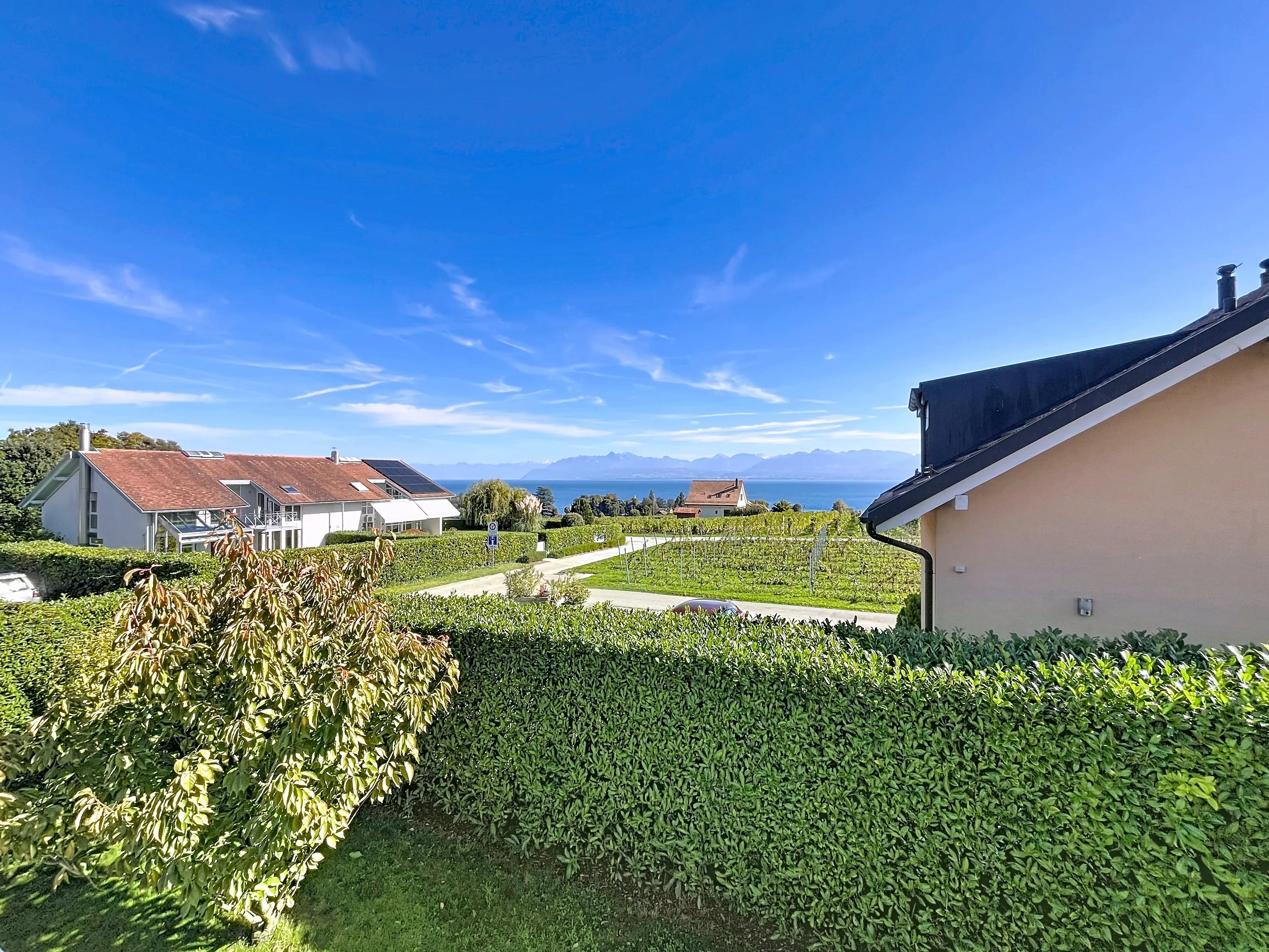 Superbe maison familiale avec vue lac et Alpes - Bursinel