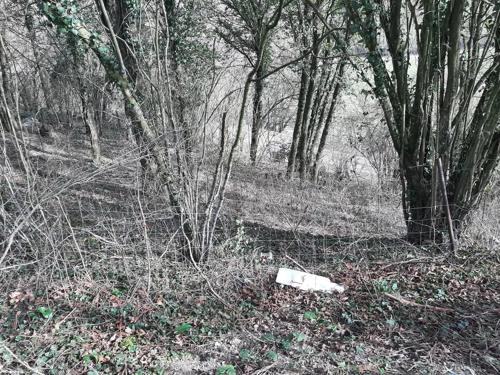 Vente Terrain Oncourt