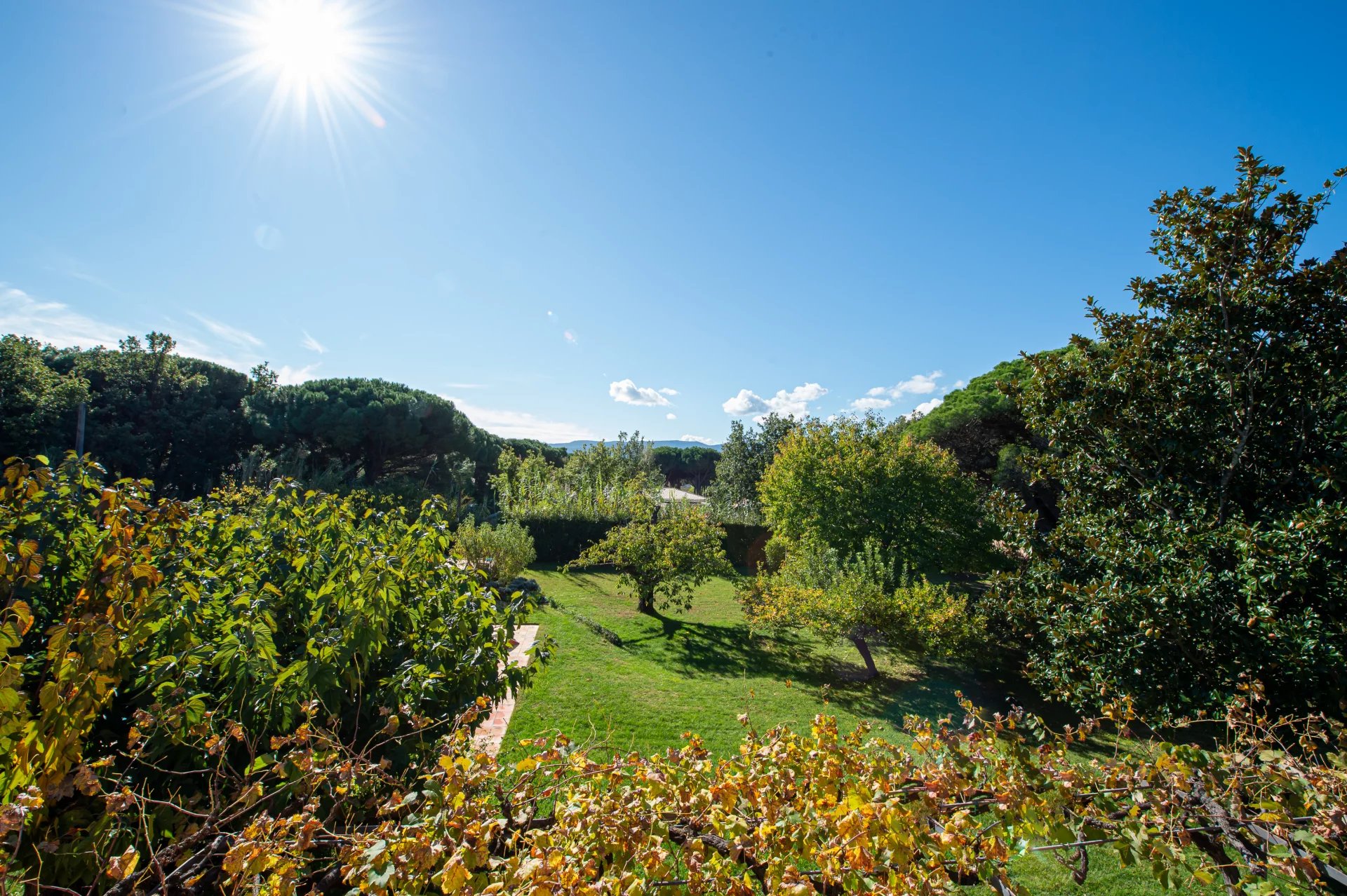 Villa avec piscine Grimaud