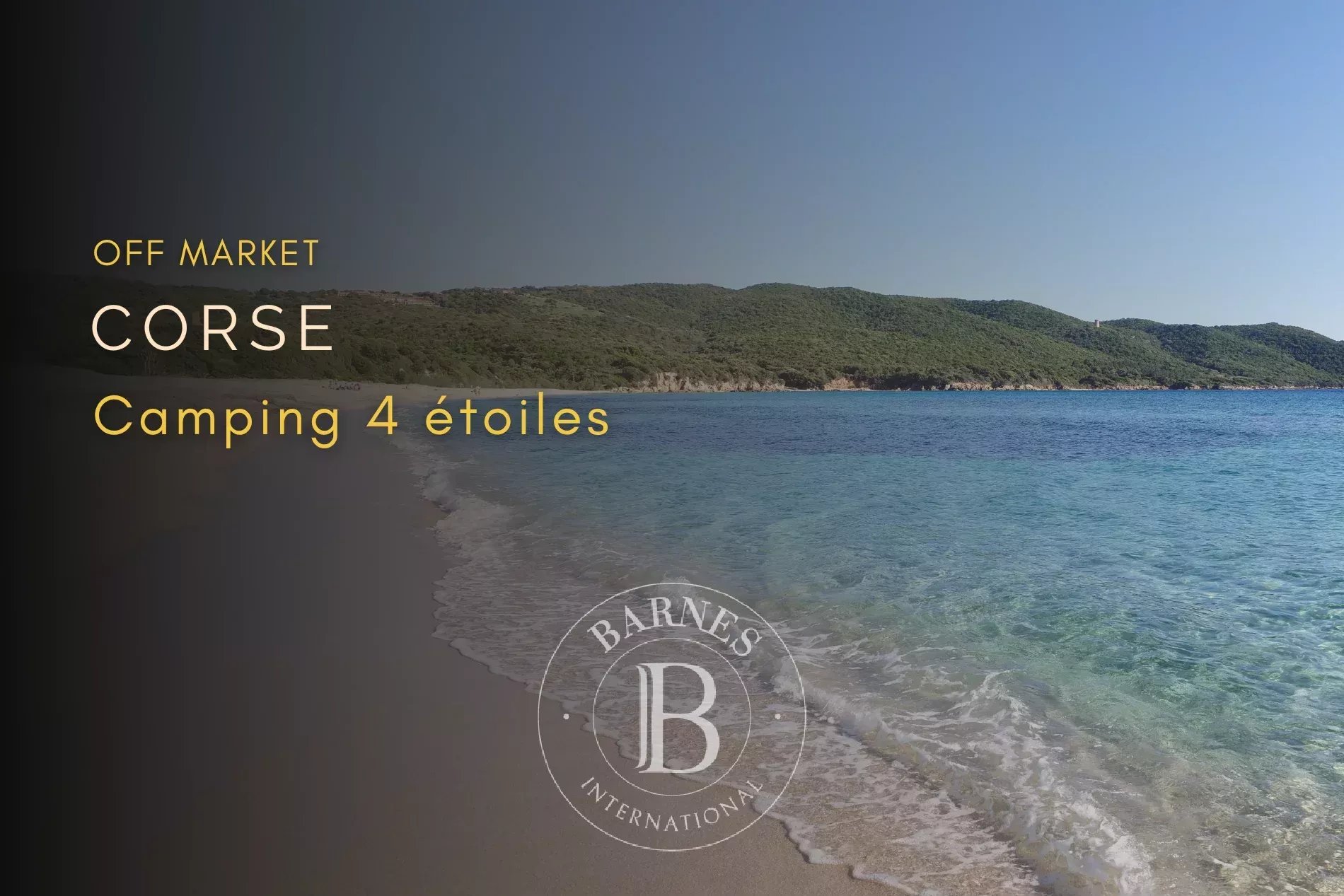 Entreprise Ajaccio  -  ref 86895213 (picture 1)