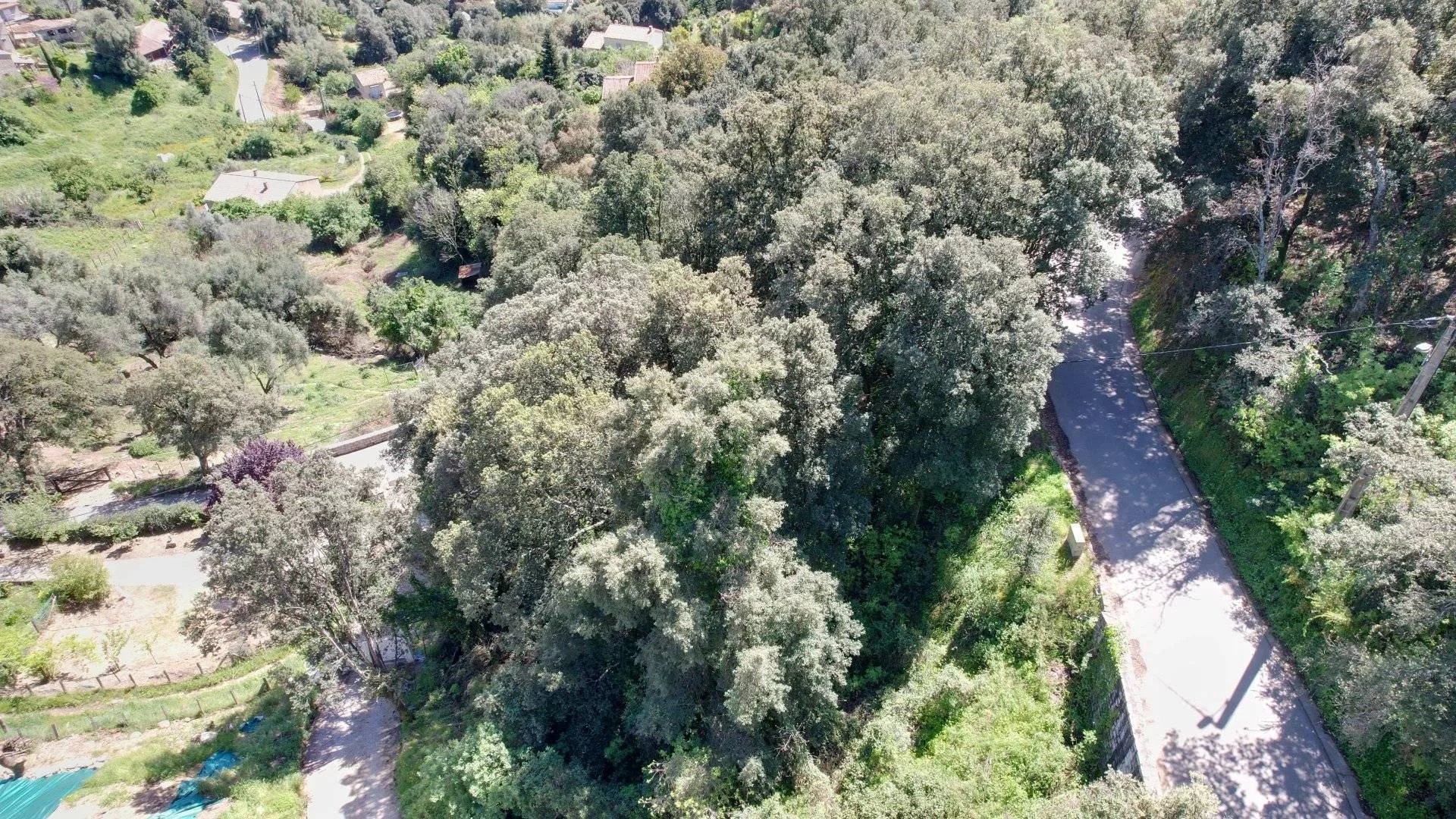 Vente Terrain constructible Valle-di-Mezzana