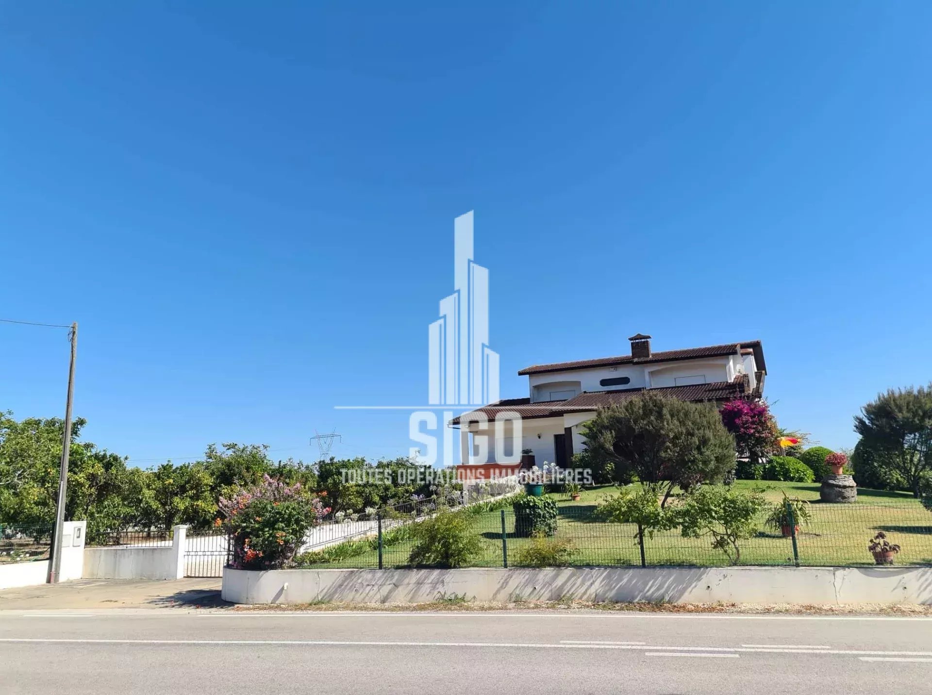 Agence immobilière de 