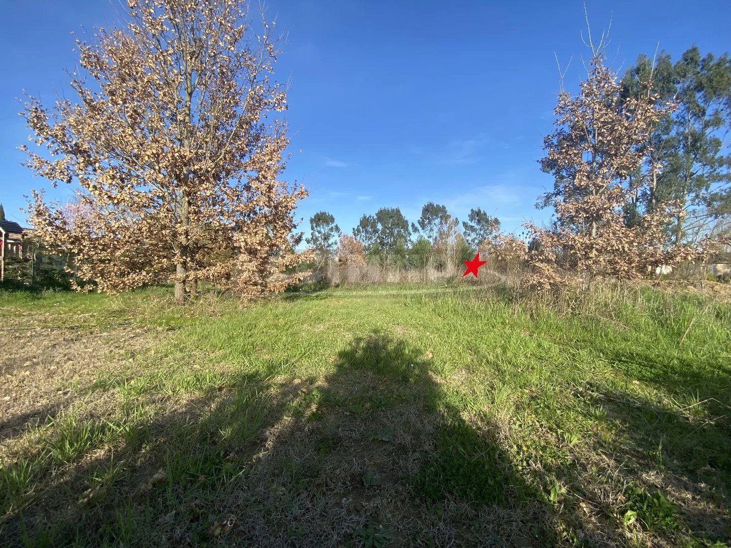 Vente Terrain Saint-Sulpice-la-Pointe