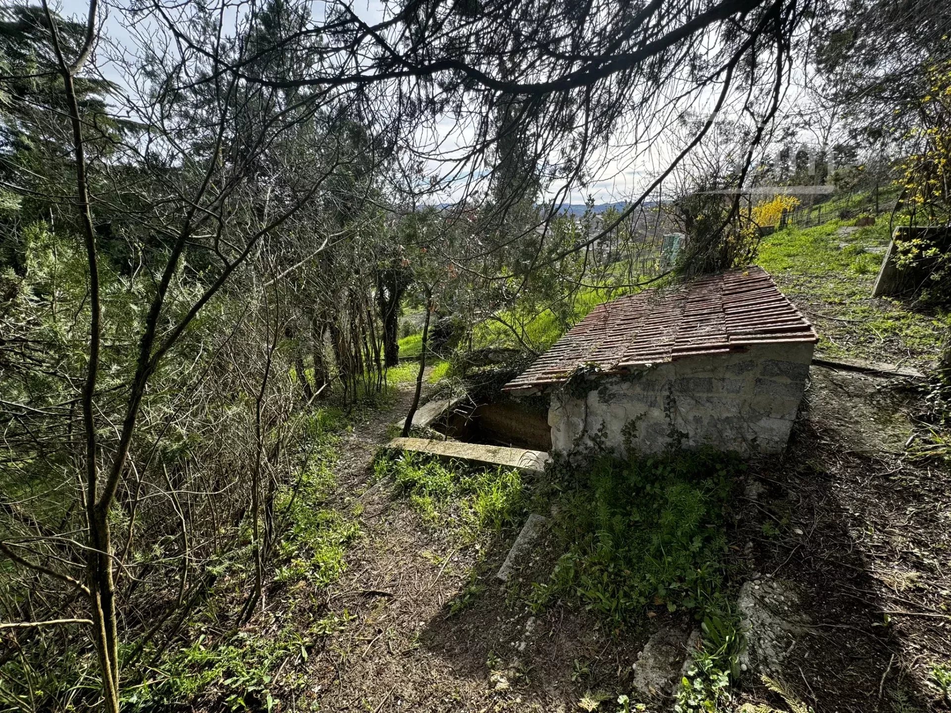 Agence immobilière de Cimm Immobilier Saint Rambert d'Albon
