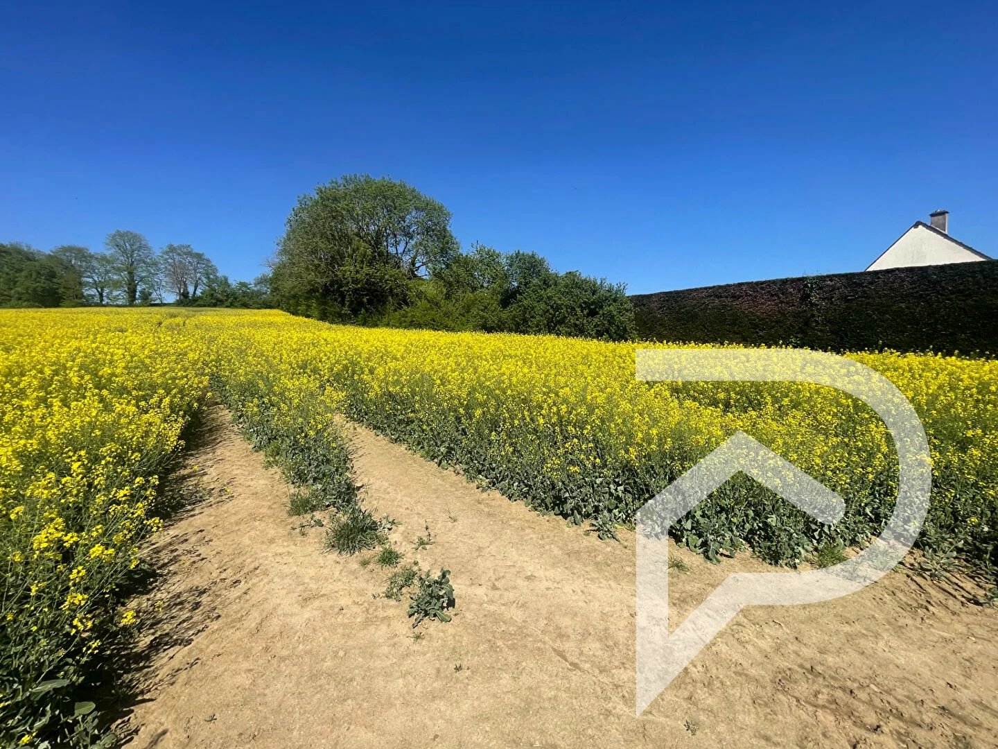 Vente Terrain Gilocourt