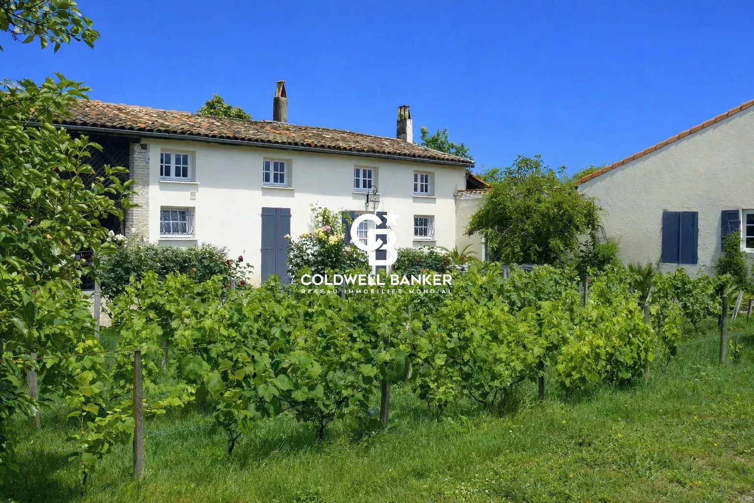 Agence immobilière de Bordeaux Premium