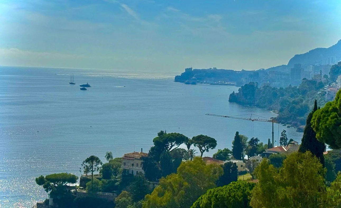 Agence immobilière de David Luxury Properties