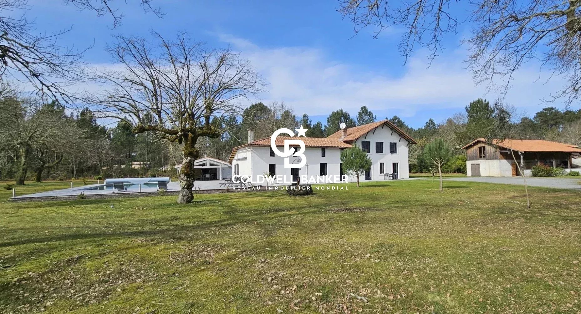 Agence immobilière de Silver Coast Int. Realty