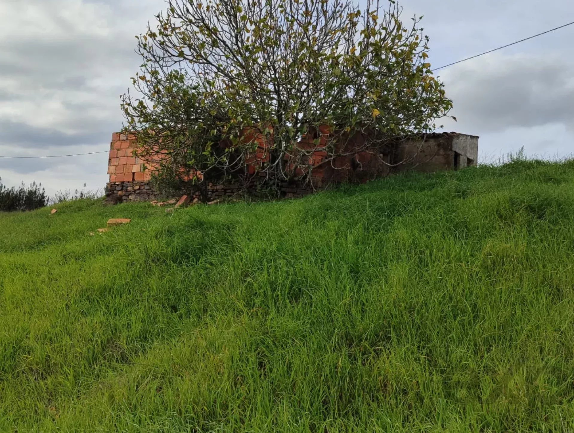 1.13 Hectares: Potential for Luxury Housing or Elite Tourist Project 8375-200 image 5