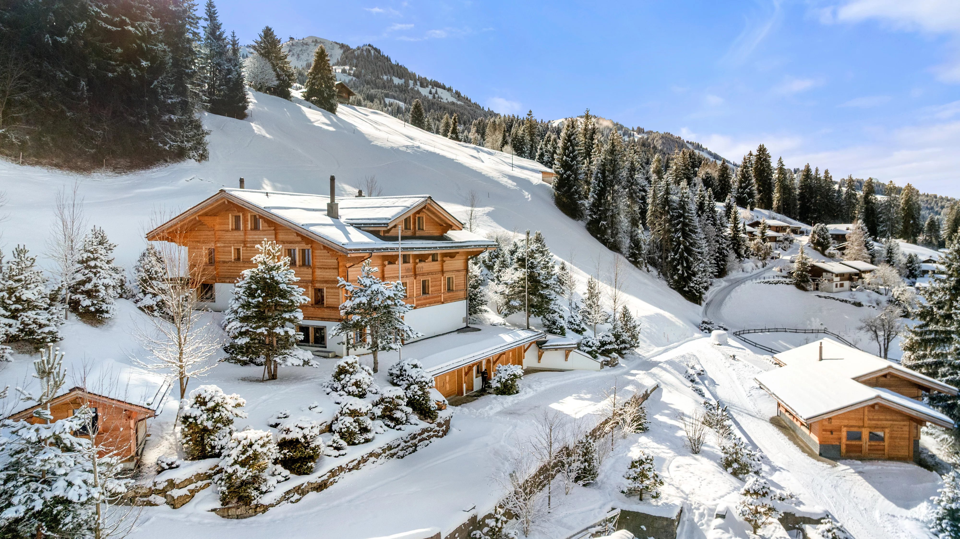 Exceptional alpine property