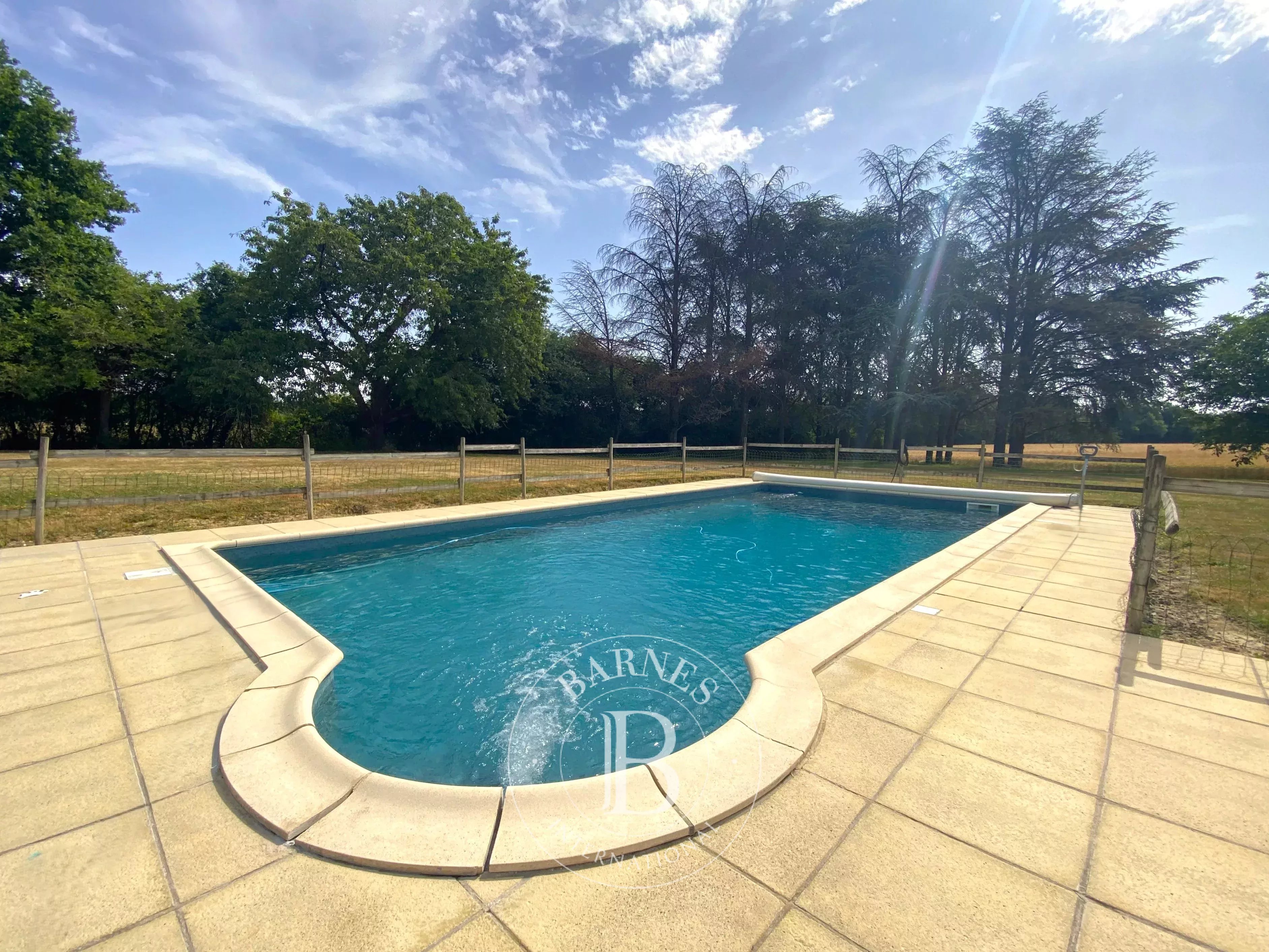 Maison Savigny-sur-Braye  -  ref 86620715 (picture 2)