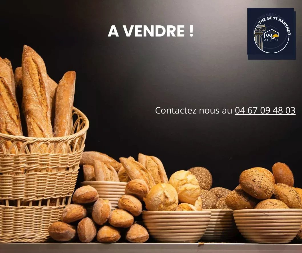 Agence immobilière de SAS THE BEST PARTNER