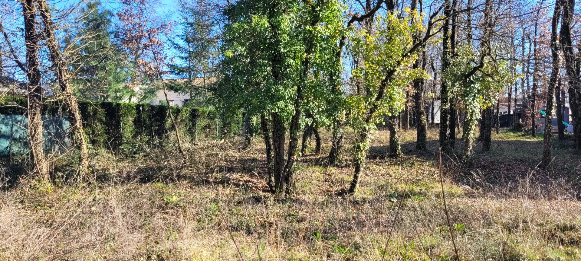 Vente Terrain constructible Terre-de-Bancalié