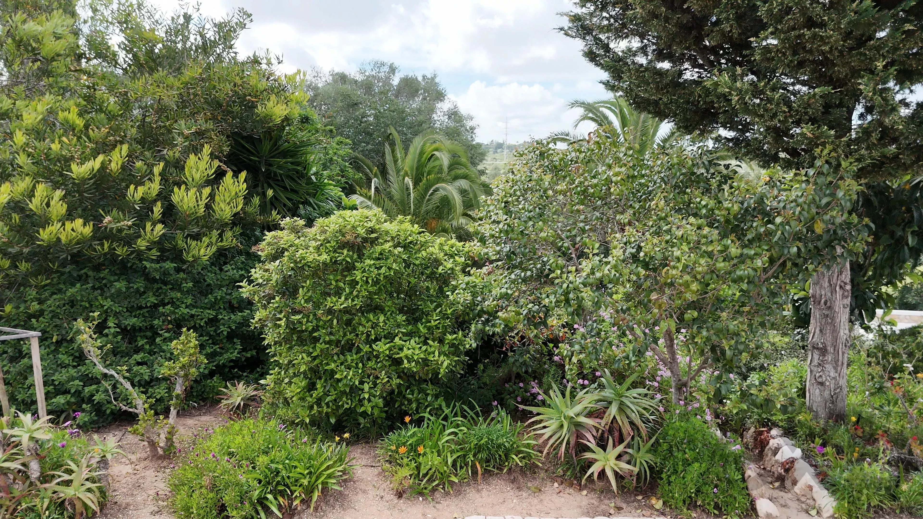 T4 Residence – Your Algarve Refuge 86841709 image 23