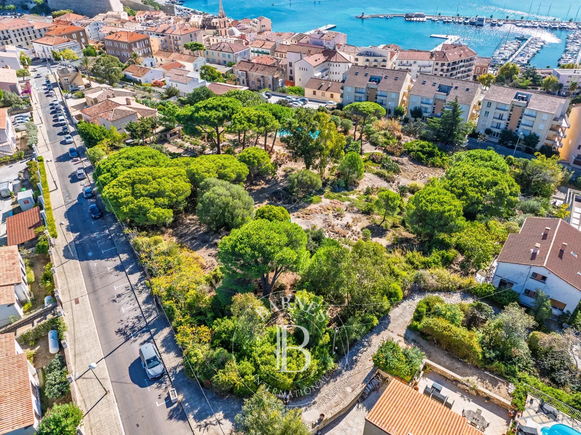 Arazi Calvi - picture 6