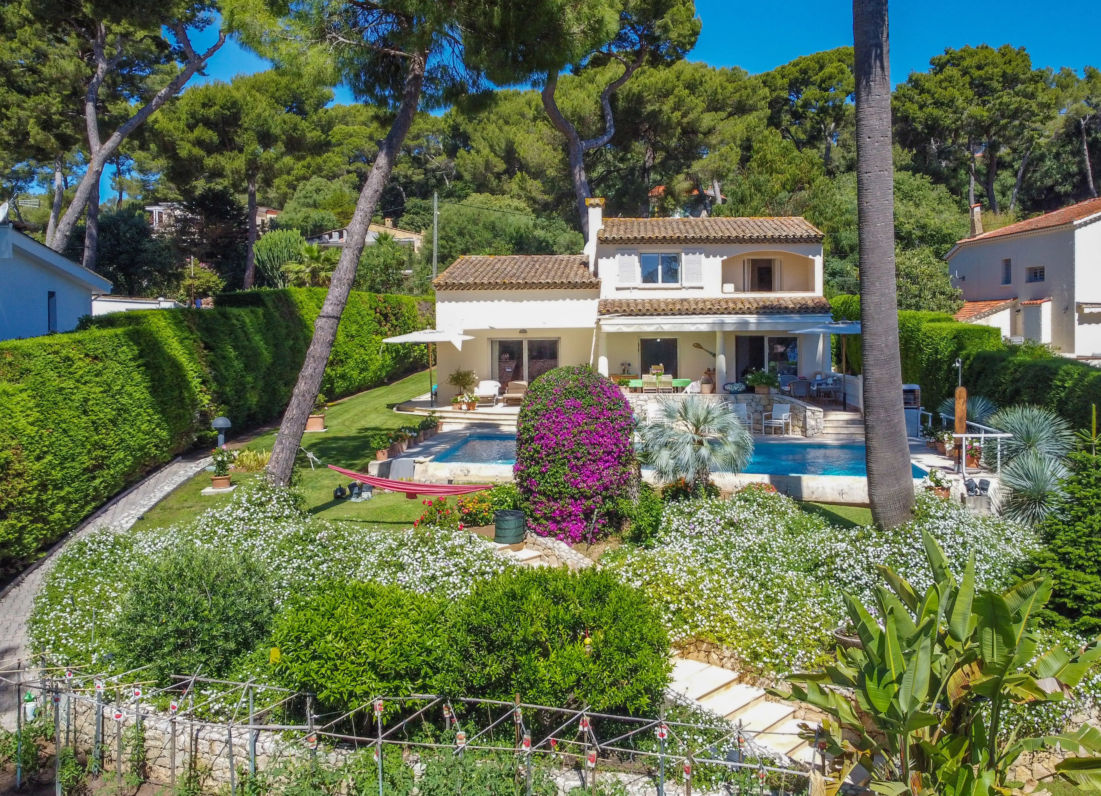 Cap d'Antibes | Dans la Pinède