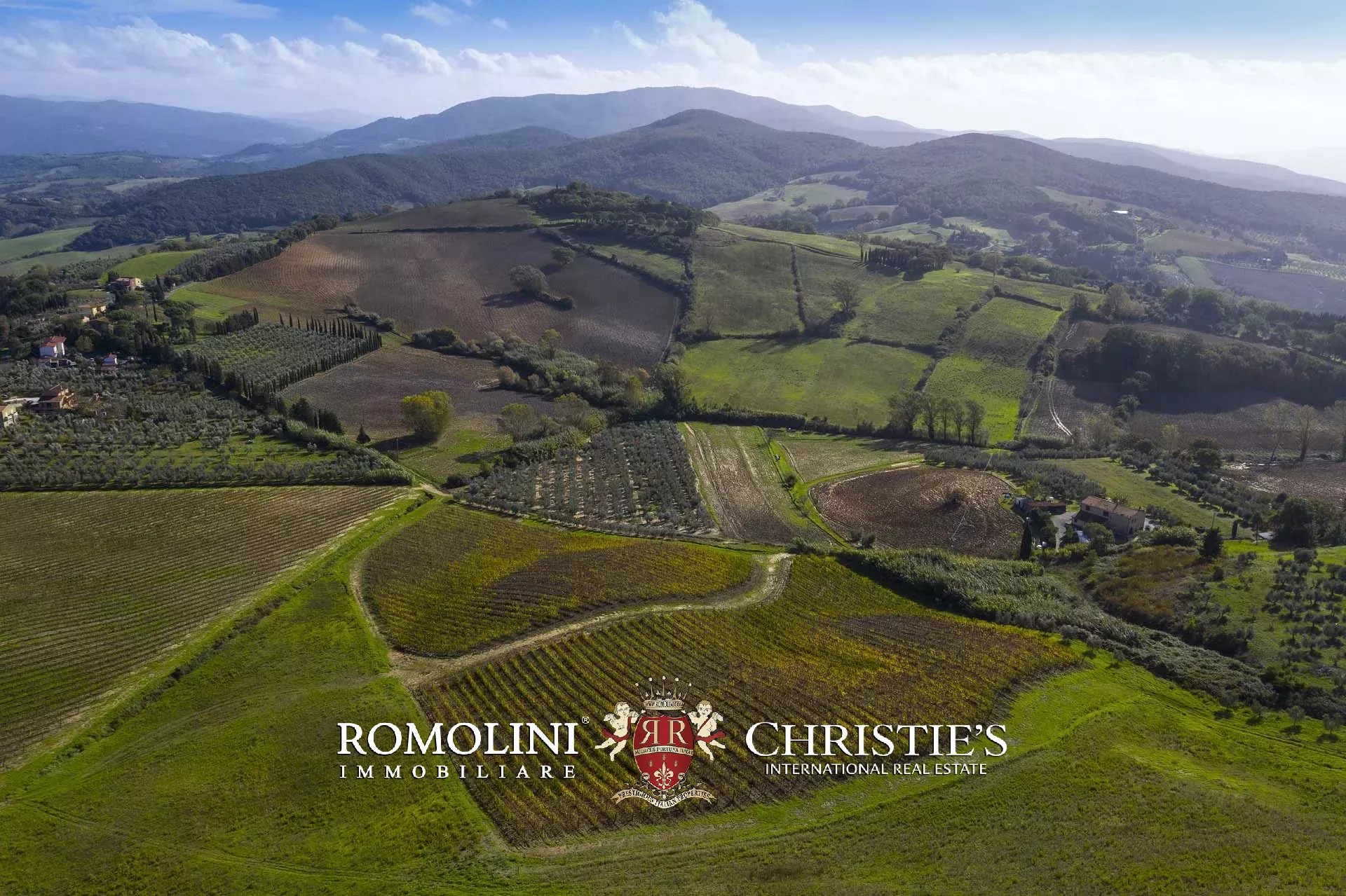 EQUESTRIAN SEA VIEW WINE ESTATE WITH VINEYARDS FOR SALE CLOSE TO BOLGHERI, TUSCANY