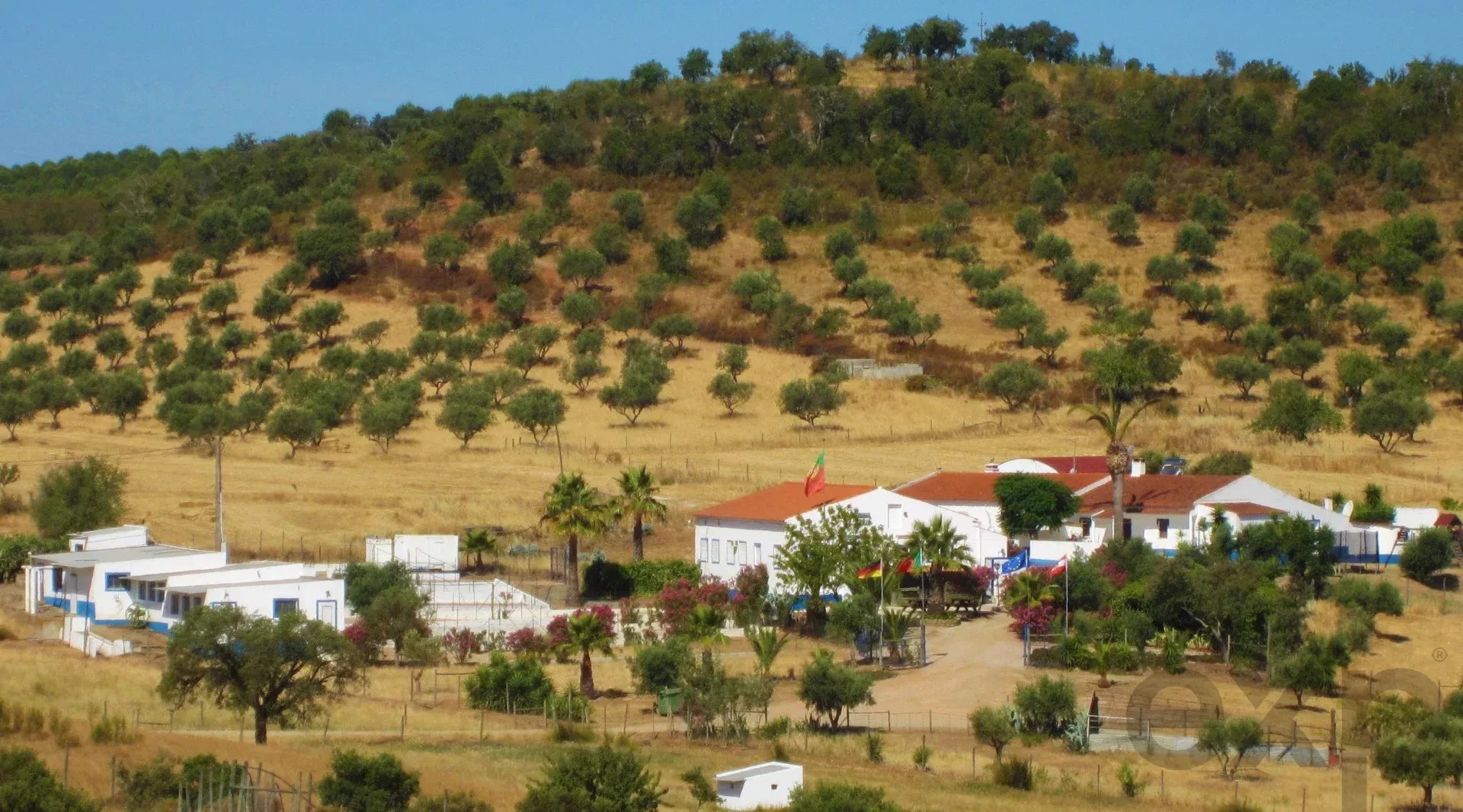 Herdade Cativante in Alentejo: A Tourist Investment with Immeasurable Potential 🌿✨ 86362095 image 63