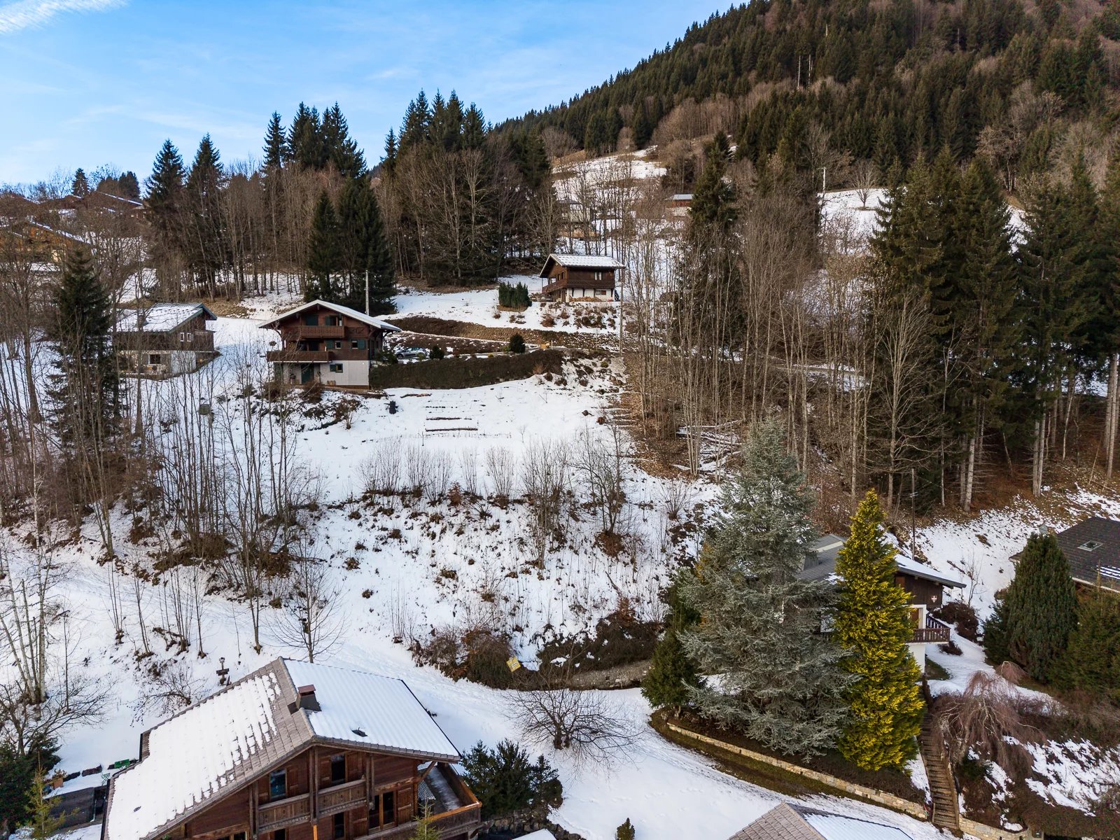 Photo of LA CÔTE D’ARBROZ – Constructible plot with planning permission