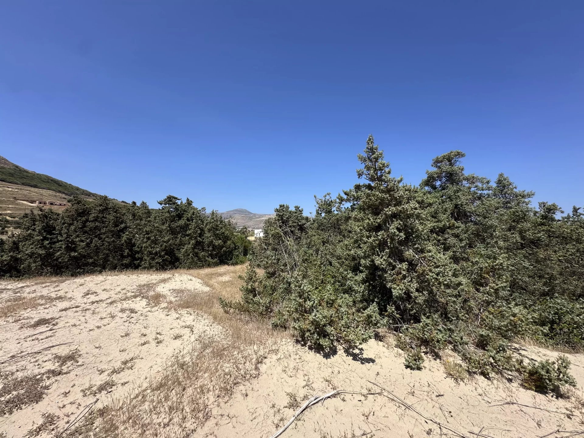 Εικόνα ιδιοκτησίας 23