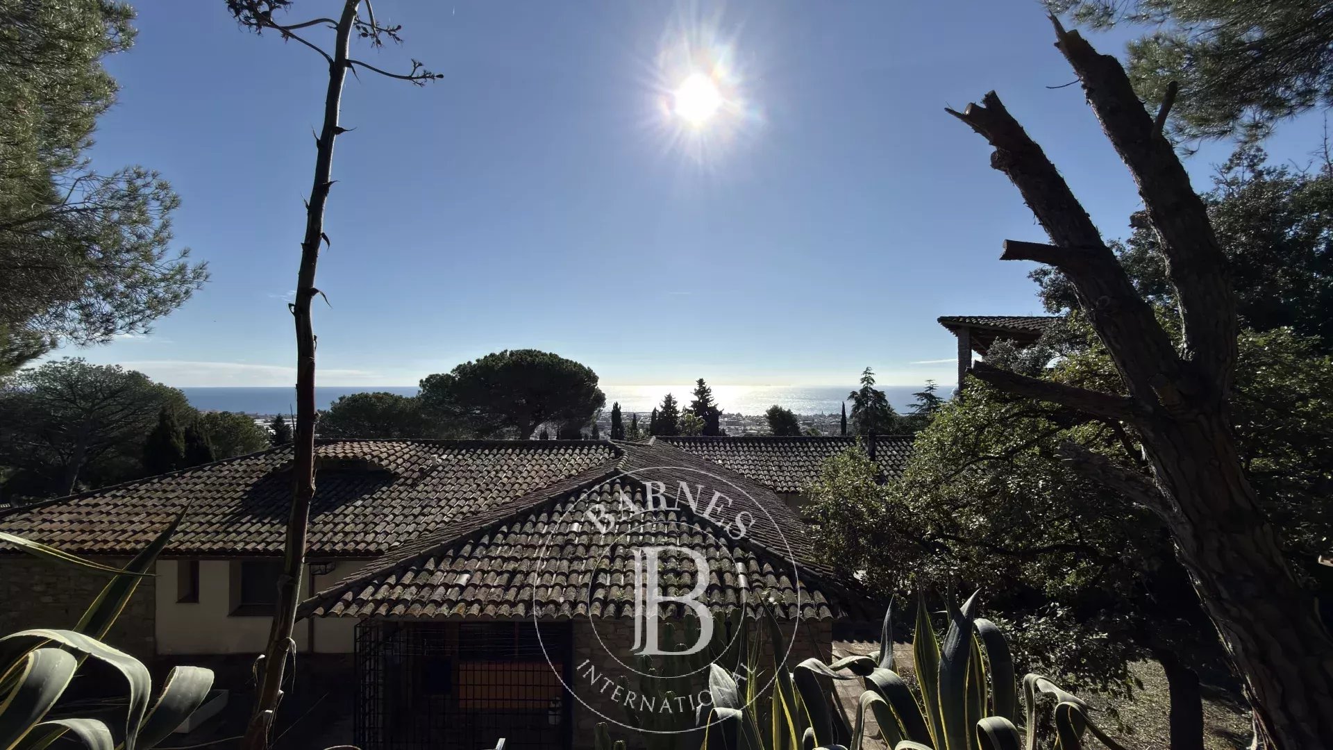 Ev Premia de Dalt - picture 5