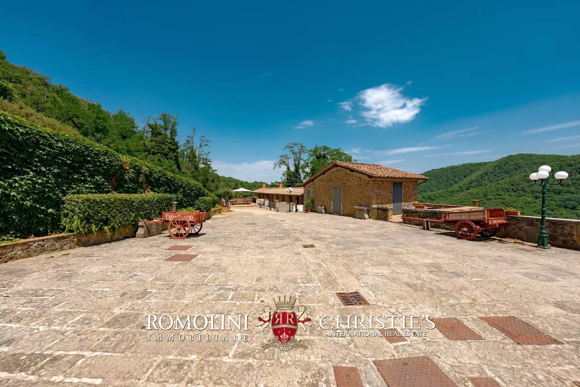 21 Bedroom Vineyard's Image 53