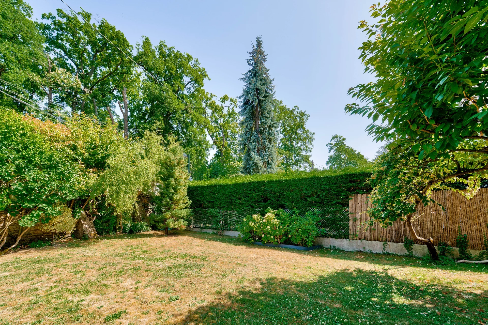La Celle-Saint-Cloud - LA JONCHÈRE