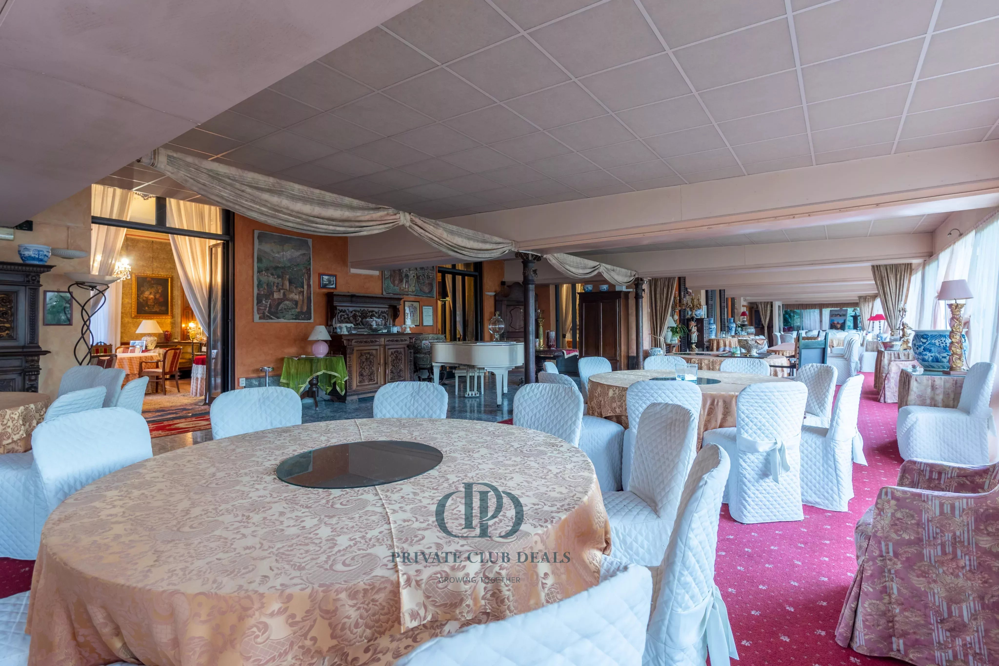 Saray Lesa - picture 12